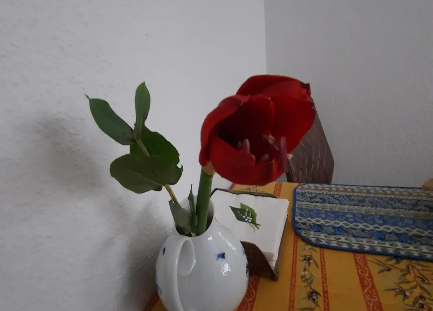 דירה Gemuetliches Nest In Bester Koelner City-Wohnlage